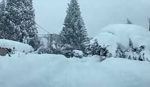 BARILOCHE EN EMERGENCIA CLIMATICA
