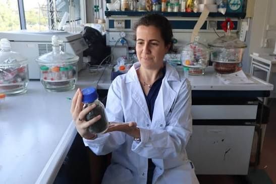 UNA CIENTIFICA MERCEDINA LIDERA UN INNOVADOR PROYECTO.-