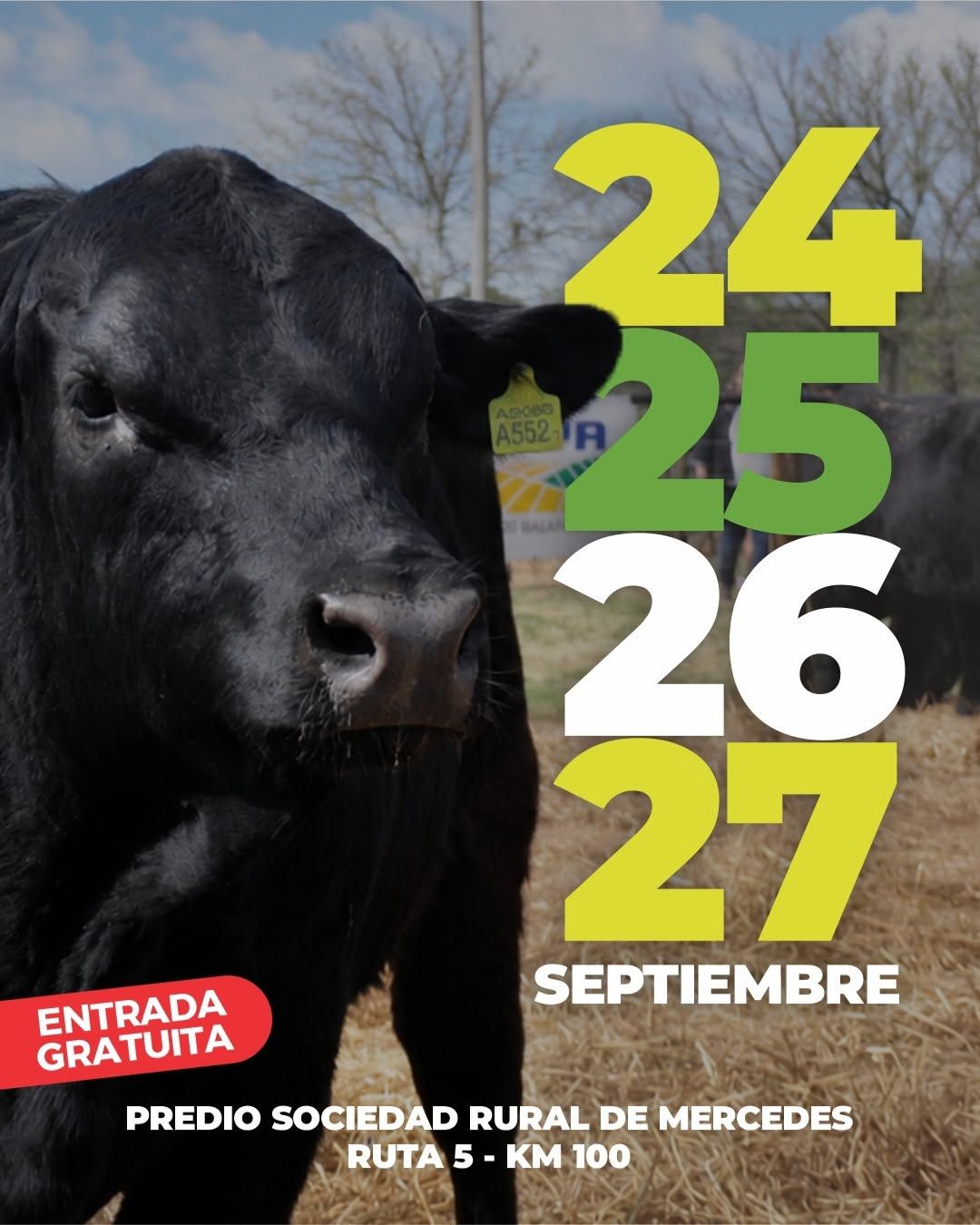publicidad